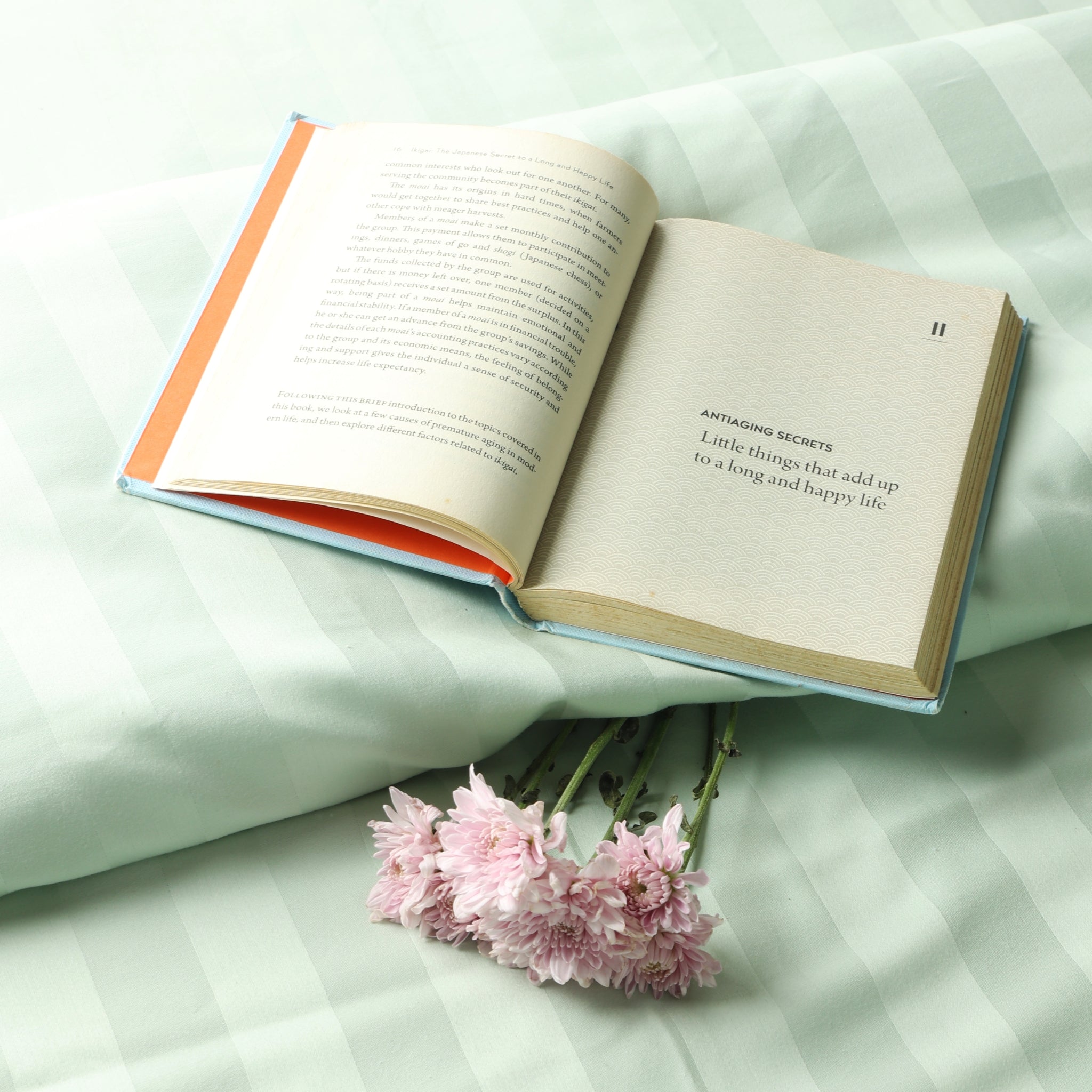 Best Seller Collection - Sage Serenity
