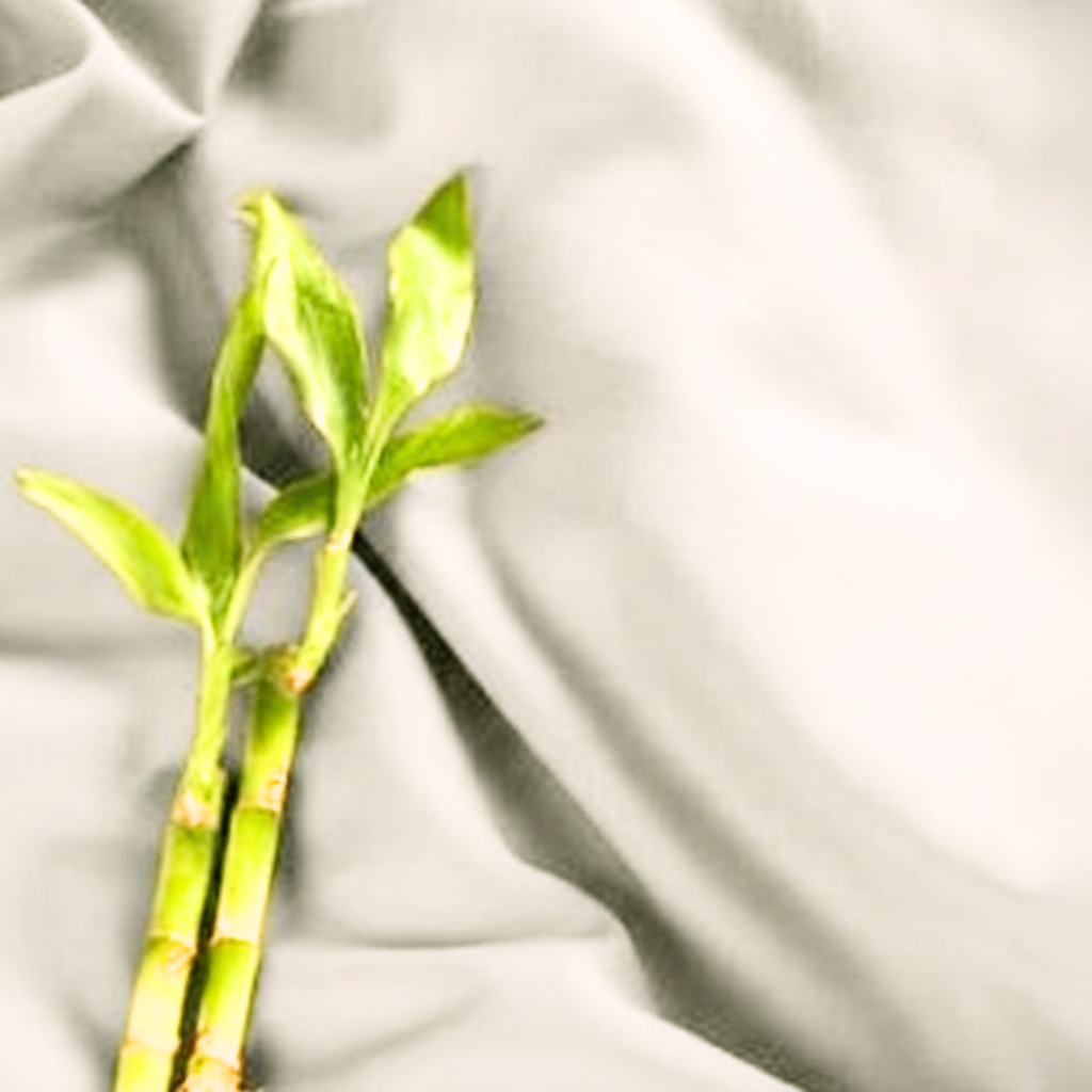 Bamboo Collection - Pebble Silver