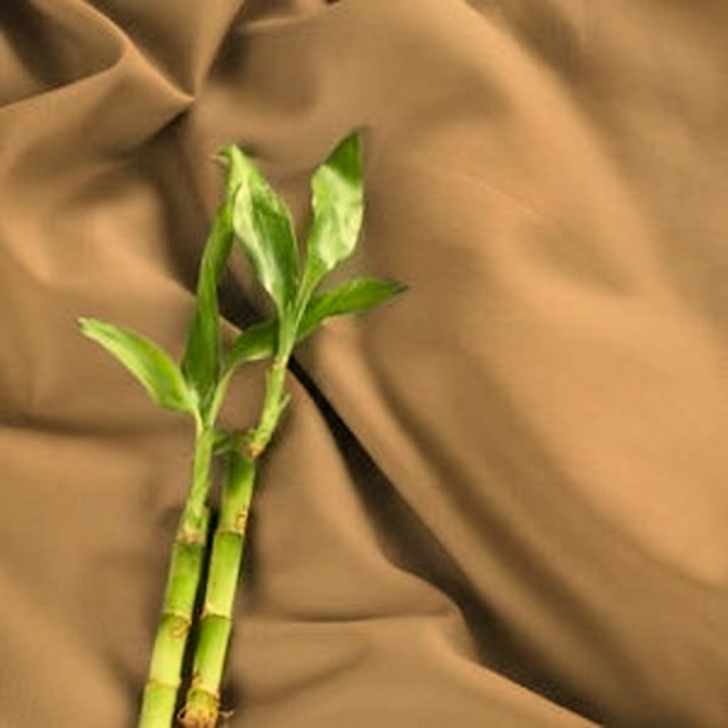 Bamboo Collection - Caramel Bronze