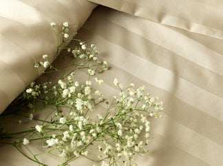 550 TC Stripes Collection - Cappuccino | Bedsheet with Pillowcases