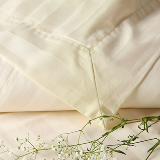 550 TC Stripes Collection - Lemon Whisper | Bedsheet with Pillowcases
