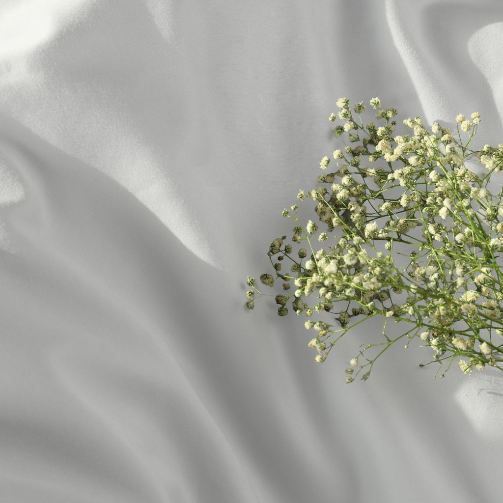 Eucalyptus Collection - Coconut White