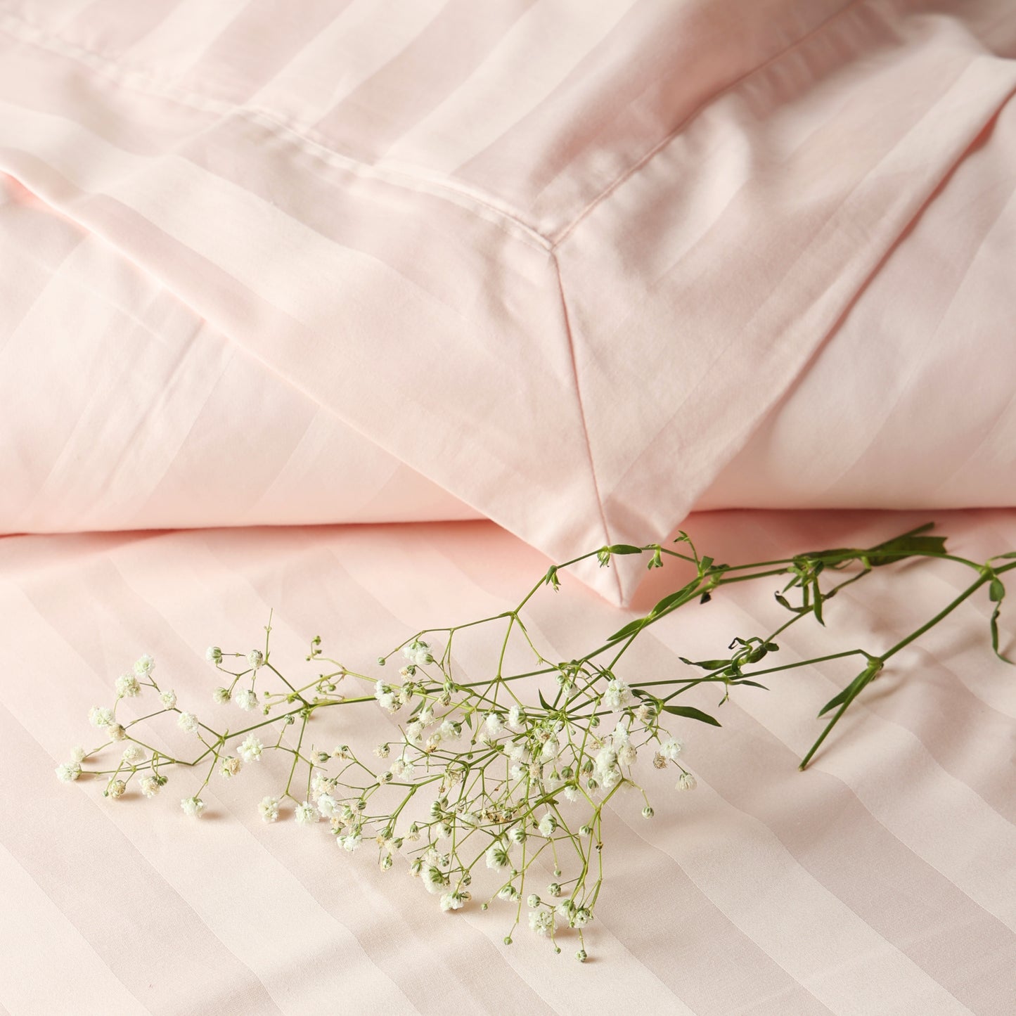 Best Seller Collection - Blush Petal