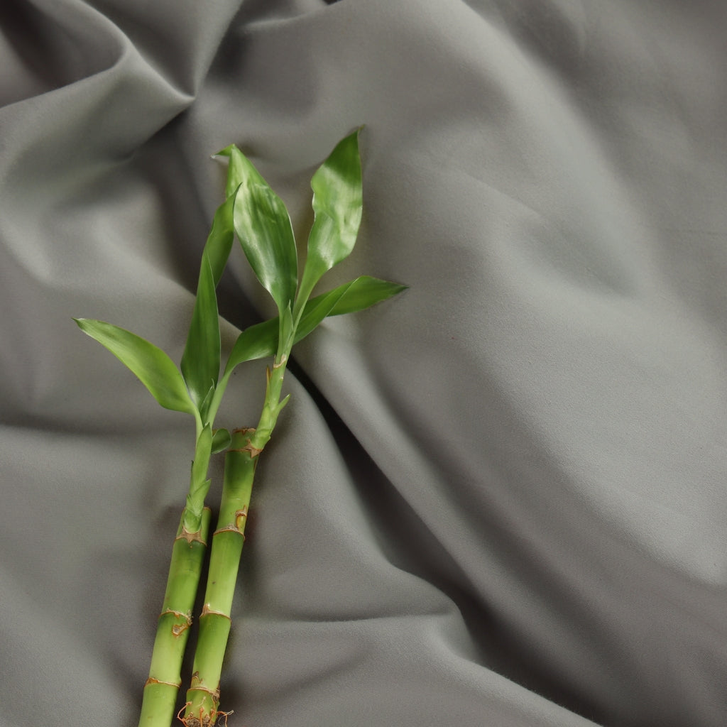 Bamboo Collection - Shadow Grey