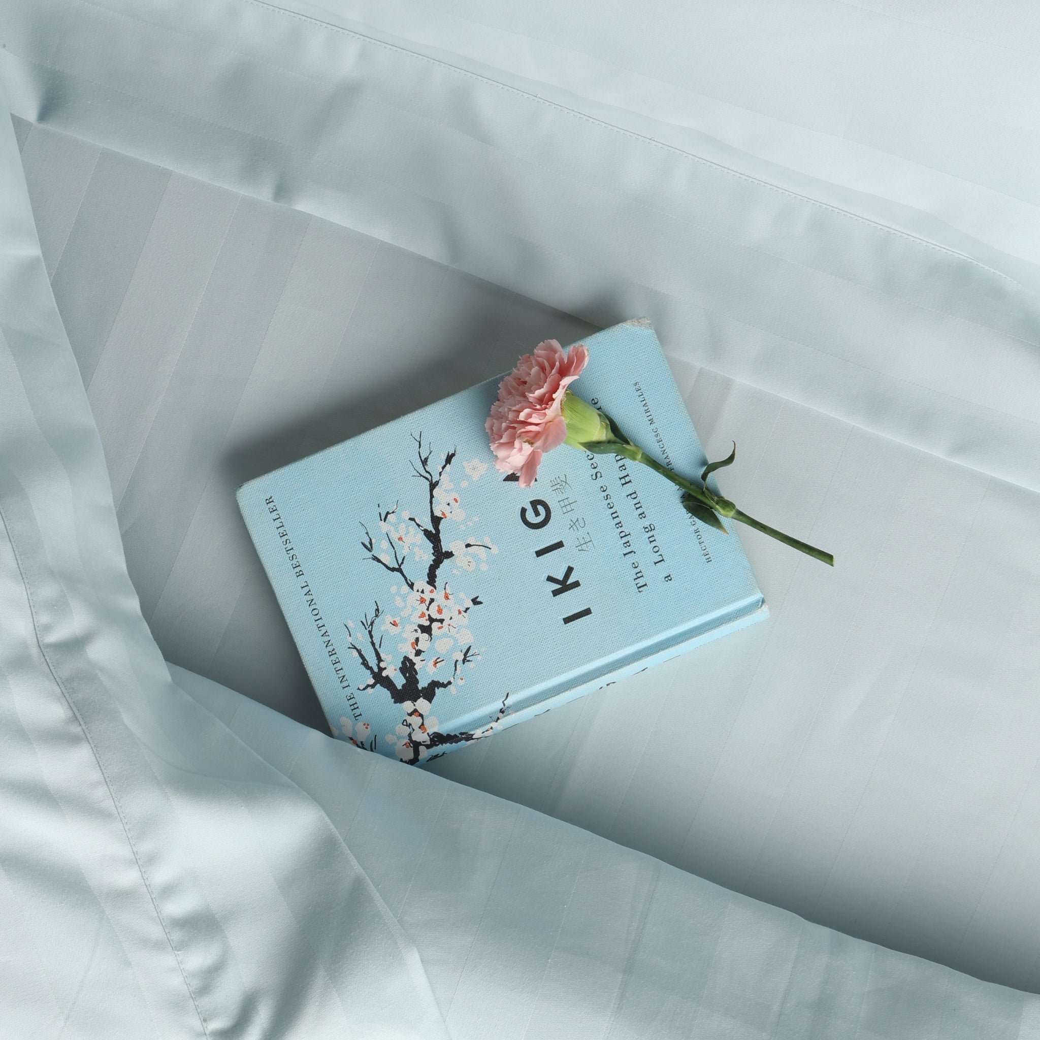 Best Seller Collection - Sky Breeze