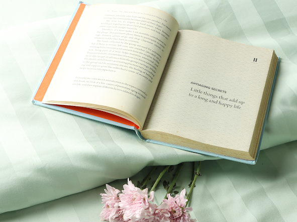 550 TC Stripes Collection - Sage Serenity