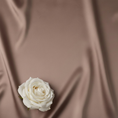 Eucalyptus Collection - Mushroom