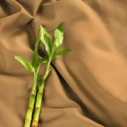 Bamboo Collection - Caramel Bronze