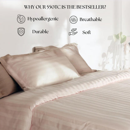 Best Seller Collection - Blush Petal