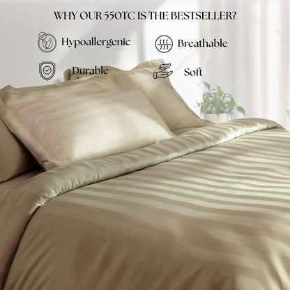 Best Seller Collection - Cappuccino