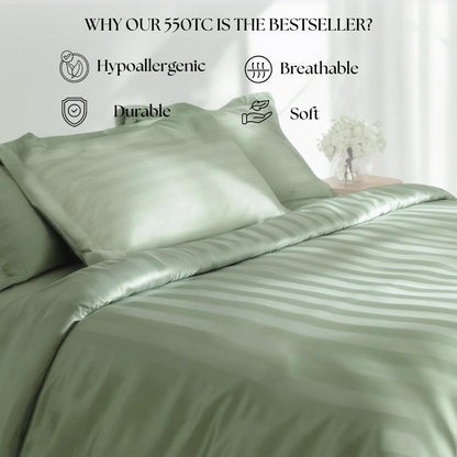 Best Seller Collection - Sage Serenity